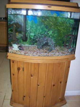 35 gallon fish tank wstand (N. Everett)