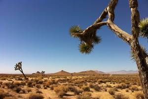 350 Acre Mojave Desert Production Location for Film, TV, Music Videos (Mojave Desert)