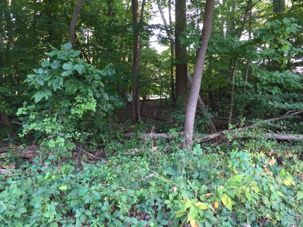 35999  TWO (0.5) ACRE FOR SALE IN SOUTHFIELD (SOUTHFIELD)