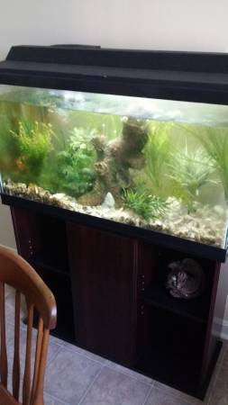 38 gallon aquarium complete set up (Murfreesboro)