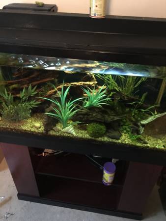 38 Gallon Tall Aquarium with Stand (Imperial)