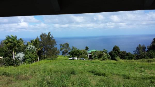 Home Wanted (windward side)