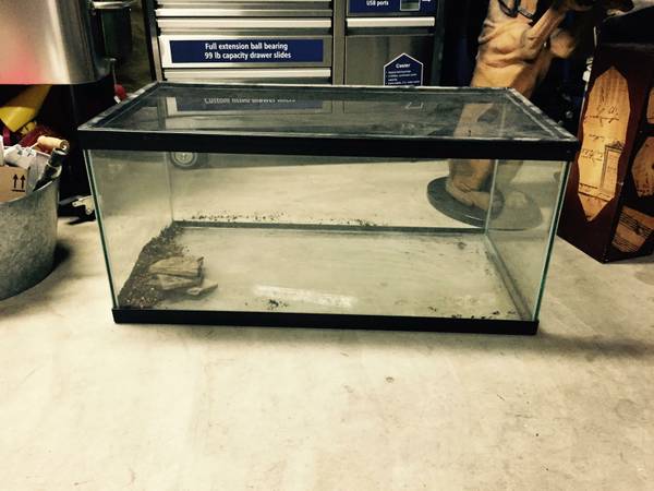 40 Gallon Breeder Tank amp Metal Screen 50 (Clayton)