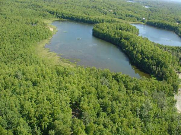 400000  12.5 Acres, Lake front property Water front (Wasillacore area)