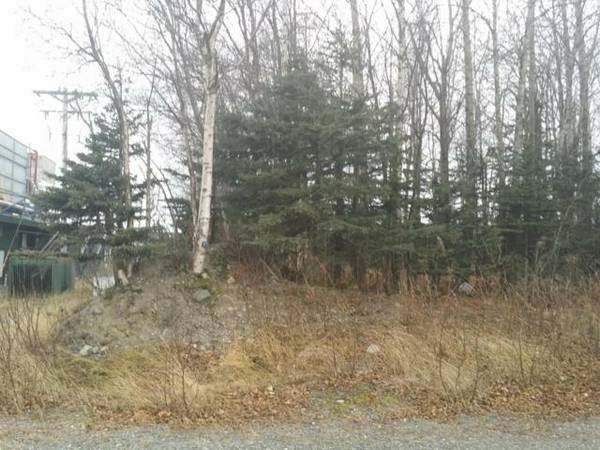 45000  Awesome Location Land for Sale (North Kenai)