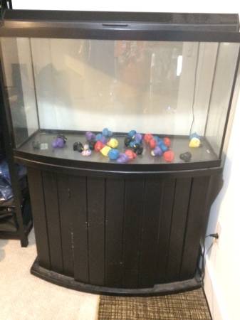 46 Gallon Bowfront Fish Tank with Hood and Stand