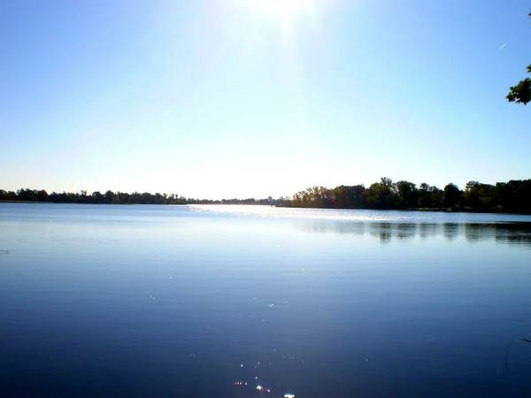 49900  Vacant Lake Prop on 1000 acre WALLEYE lake (Buchanan)