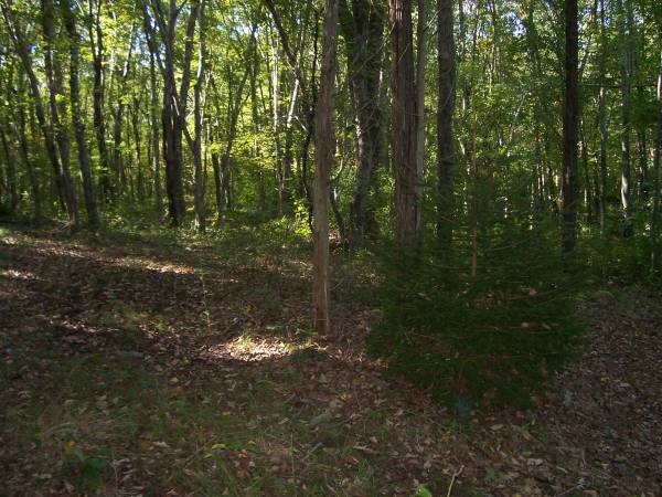 5 Ac. Approved building lot 99,900 (Ashaway RI)