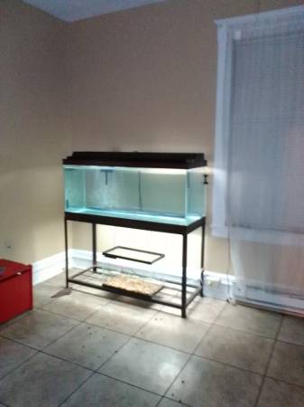 50 gal fish tank with stand (New britain)