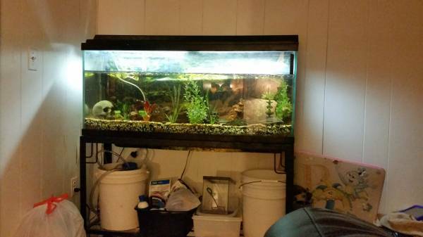 50 gallon aquarium with stand  75 (Biddeford)