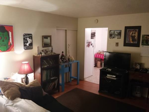 400  Room for Rent (with 2 roommates)