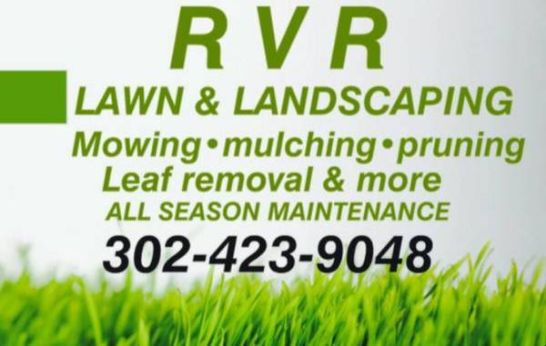 50OFF LAWN CARE SERVICES FOR ALL NEW CUSTOMERS (REHOBOTH BEACH,LEWES,MILFORD,DOVER)