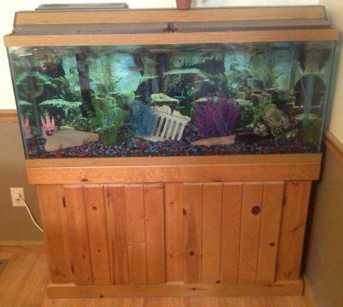 55 gallon aquarium setup kit SellTrade (Perry Hall)