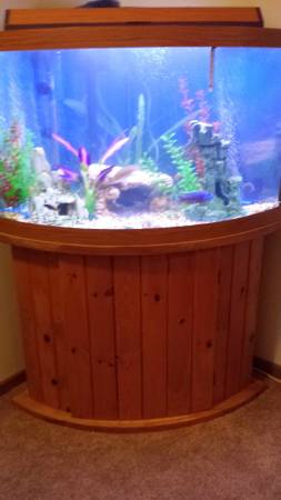 55 gallon bowed corner tank 300 (fargo)