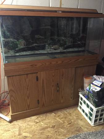 55 Gallon Fish Tank