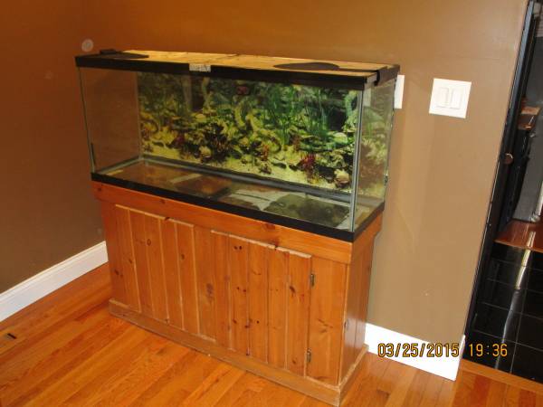 55 Gallon Reptile enclosure with stand (knox)