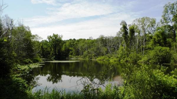 550000  104 acres hunting land Livingston County (Fenton,  MI)