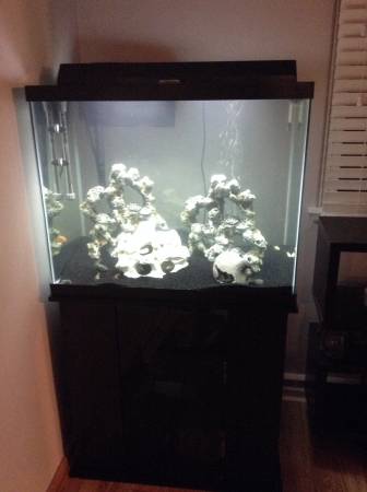 56 gallon aquarium (York)