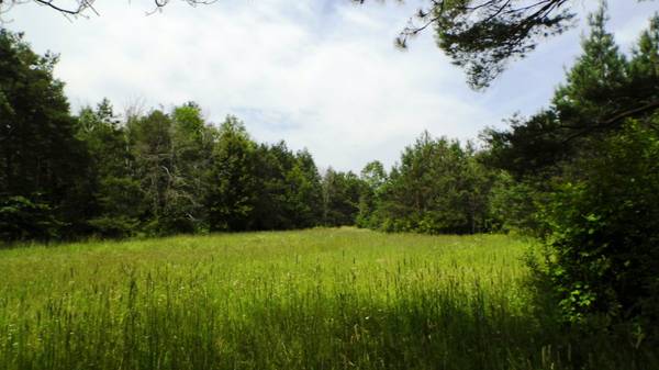 59000  16 acres hunting land (Emmett,  Mi)