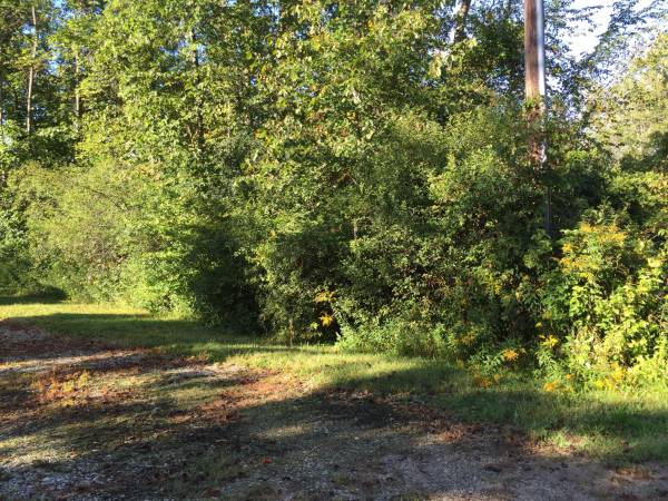 59999  Gorgeous Vacant Land on Water (White Lake)