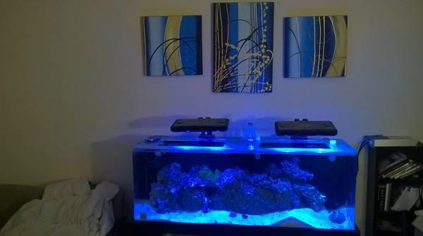 60 gallon acrylic saltwater setup with LED complete (Omaha)