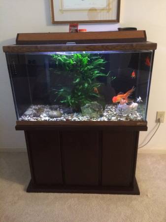 65 Gallon Tall Fish Tank w solid wood stand, etc (Phoenixville)