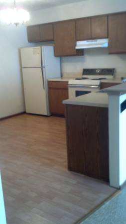 370  female roomate wanted for 3 bdr 2 bath (kearney)