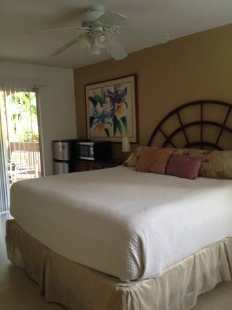 65.00night private Studio in Princeville, available NOW