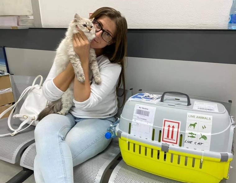 Healthy Siberian Kittens for Sale