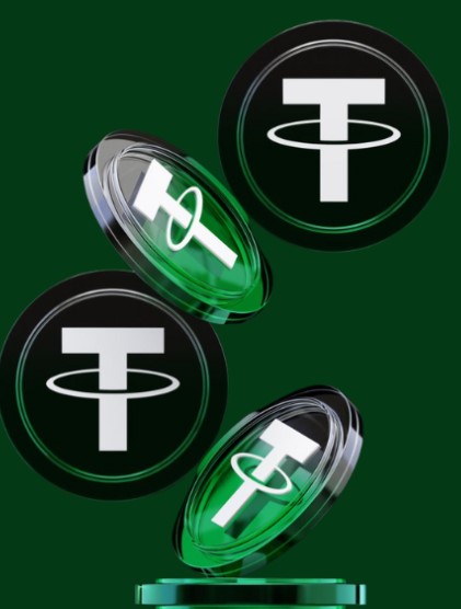  Discover Rapid Flash USDT