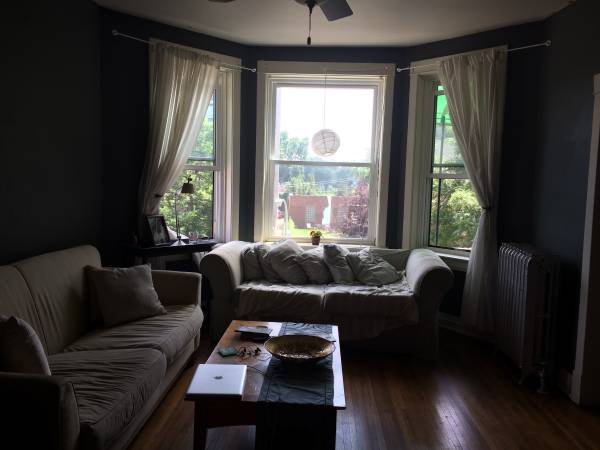 700  Andersonville roommate Aug 1st (Andersonville)