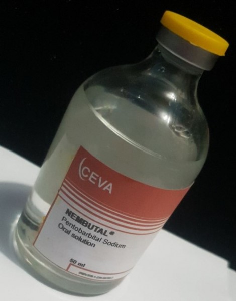 Nembutal Pentobarbital For Sale