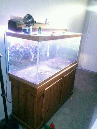 75 Gallon fish tank