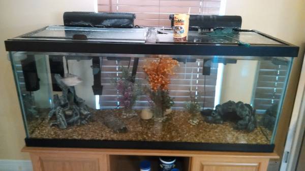 75 Gallon Fish Tank with Stand 280 OBO