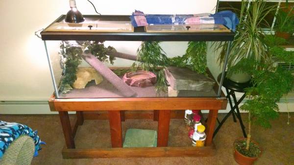 75 gallon terrariumtank