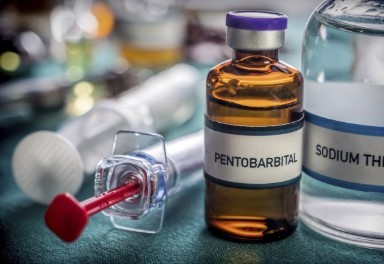 Nembutal Pentobarbital For Sale, Nembutal For Sale in USA