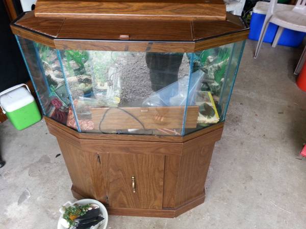 8 sided aquarium full setup (laporte)