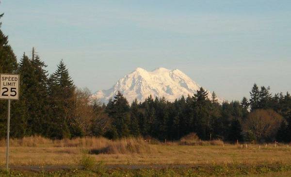 80000  34 acre Lot w Mountain amp Territorial View (123rd Ct SE, Yelm, WA)