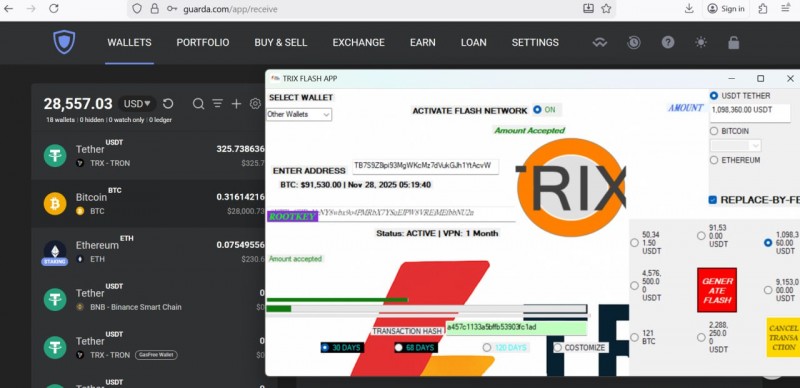 Flash Bitcoin Software – Best BTC USDT Flashing Simulator Tool (One-Time Payment)