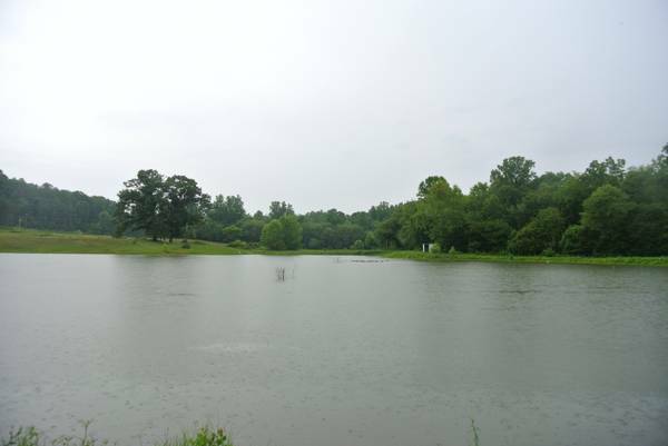 85 Acres, 26 fish ponds, airplane landing strip, 5200 ft on Big Creek (Westfield, NC)