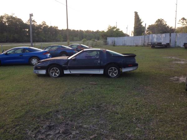 86 Trans Am amp Firebird Fstrade