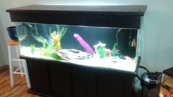 90 gallon acrylic freshwater fish tank  aquarium with fish