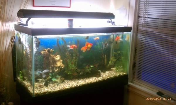 90 gallons complete set up fish tank (south mpls)