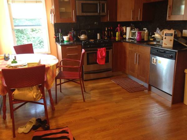 950  Great Room in Awesome Jamaica Plain Apt (Jamaica Plain)