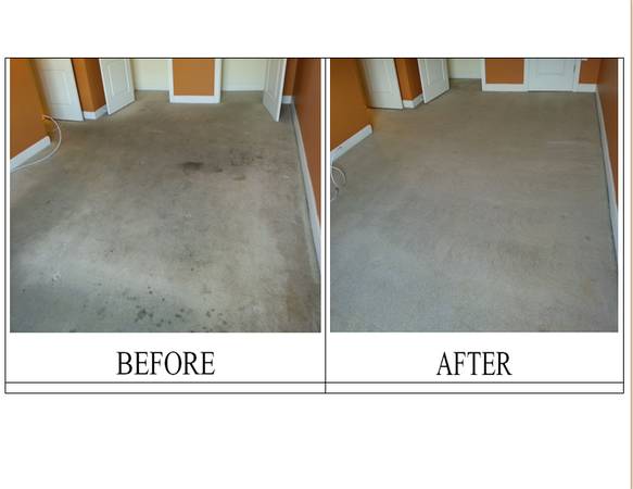 965899 For 5 Areas Carpet Cleaning Using Rotovac