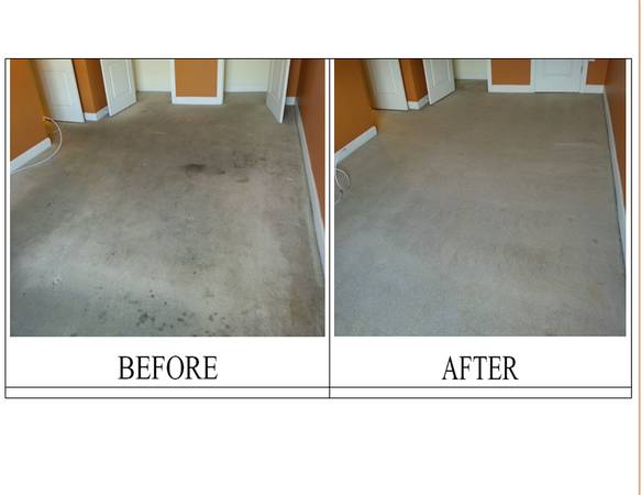 965899 Professional Carpet Cleaning Services