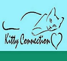 9658Kitty Connection Meet  Pet Supplies Plus SUNDAY 130 to 3309787 (630 The Fellsway, Medford, MA)