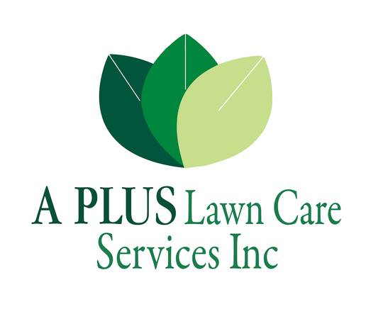 9733Lawn Care9733Landscaping9733Landscape Design9733FREE Quotes (Cary,Apex,Raleigh,Fuquay Varina,Holly S)