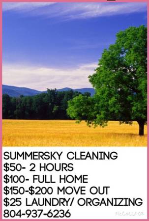 9839 50 for 2 hours of Cleaning Summersky, cleaners 9839
