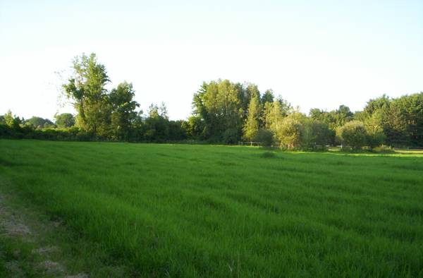 99000  Land. 6.5Acre Private Meadow. End
